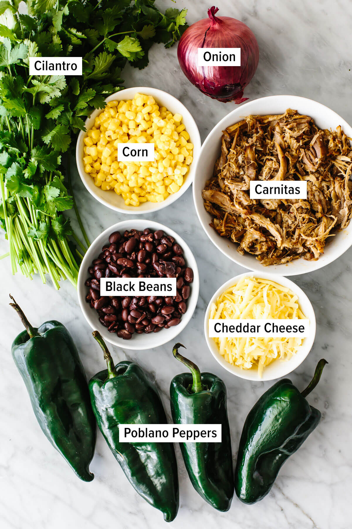 Ingredients for carnitas stuffed poblano peppers on a table.