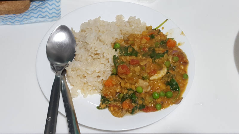 Vegan Meal: Brown Rice with Lentil Stew