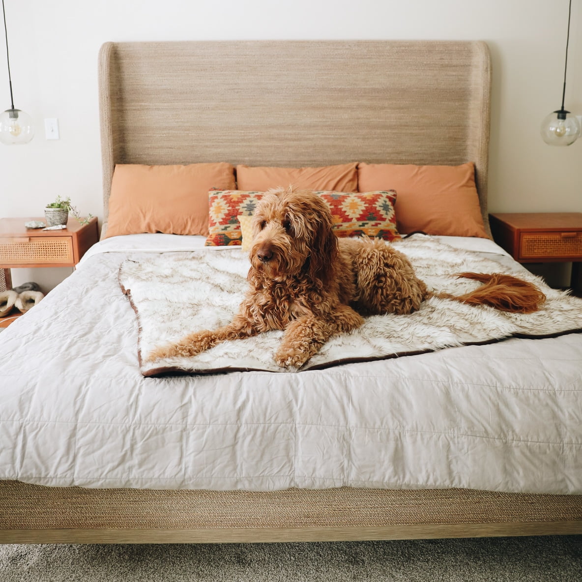 Sustainable Bedding Companies - The Healthy Maven