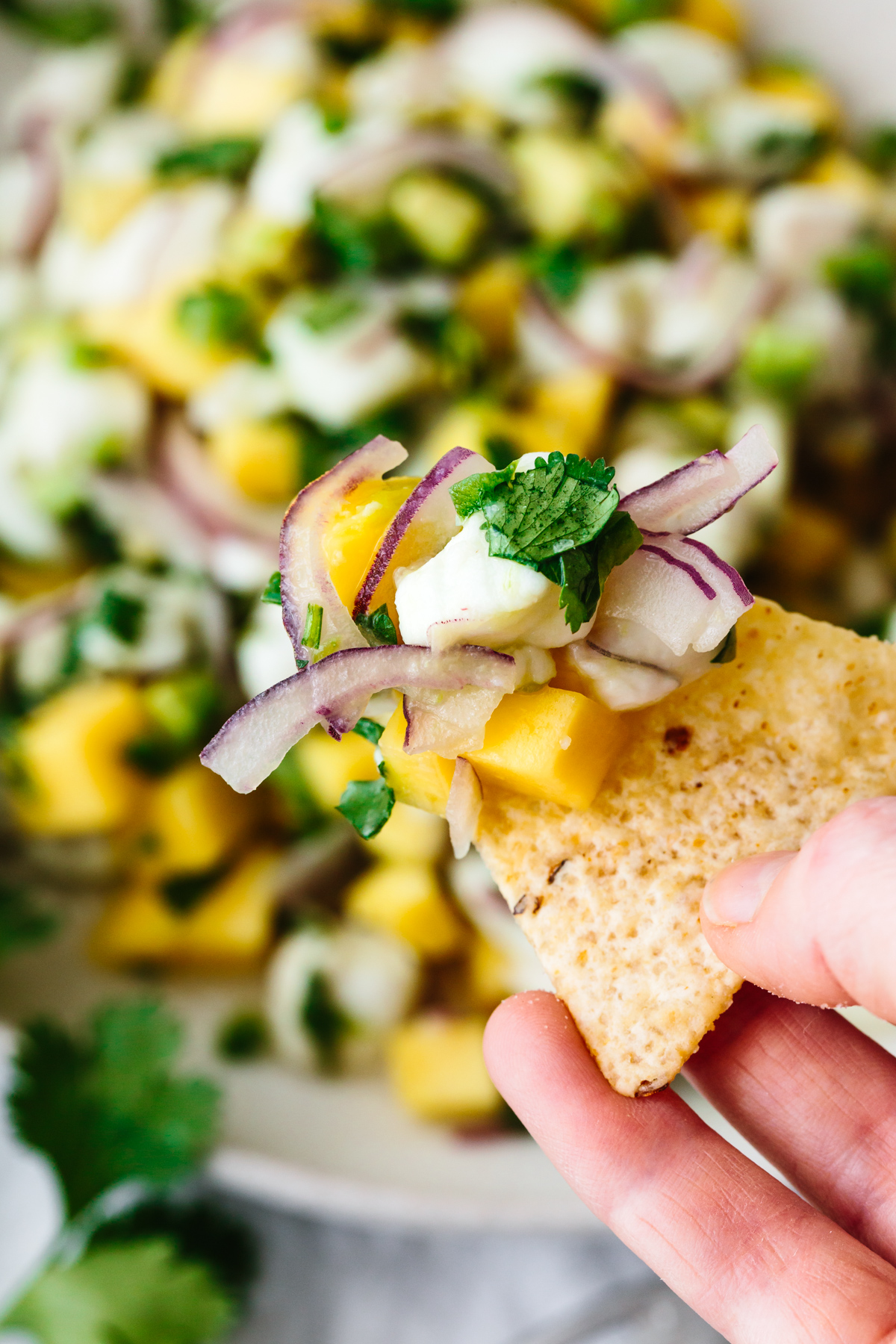 Scooping mango halibut ceviche with a tortilla.