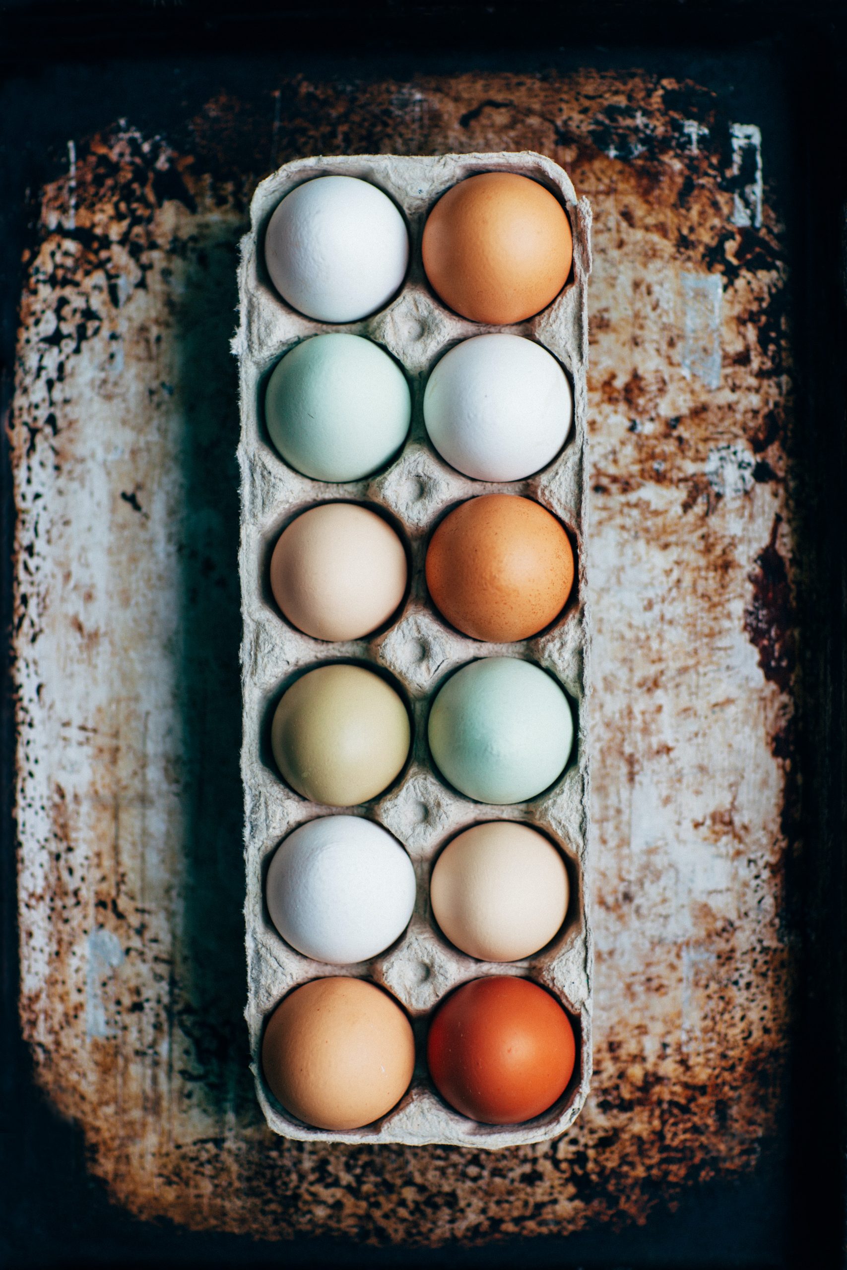 Plant-Based Eggs | Guide to Vegan Egg Alternatives | Luxiders Magazine