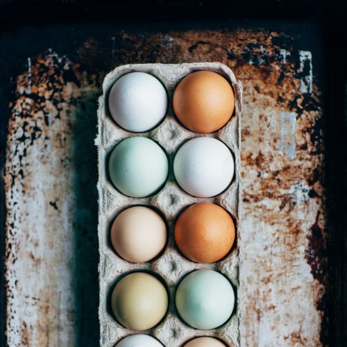 vegan egg, vegas eggs, vegan egg alternatives, eggs, tofu, scrambled egg, ecologist, eggs substitute, eggs replacer, powder eggs, liquid eggs, chicken eggs, vegan food market, vegan food, plant-based egg, sustainable eggs