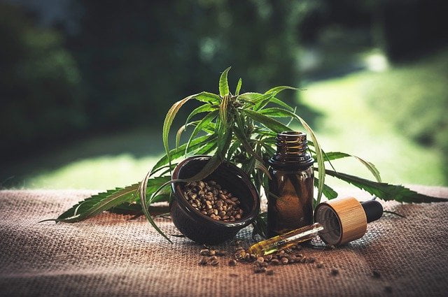 What Is The Impact Of CBD On Overall Health? - Art of Healthy Living