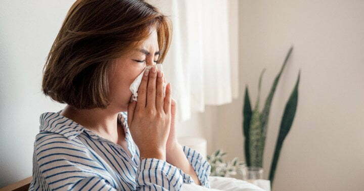 11 Safe Ways To Stop A Sneeze In Its Tracks (+ Save You From Nervous Glances)