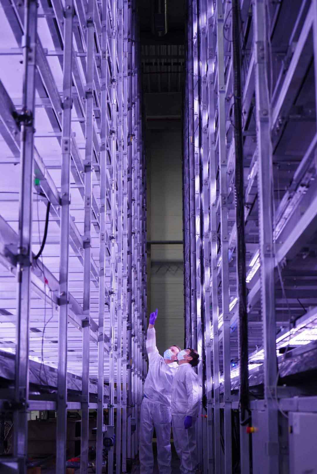 Vertical Farms Reimagine Sustainable Food Systems | Luxiders Magazine