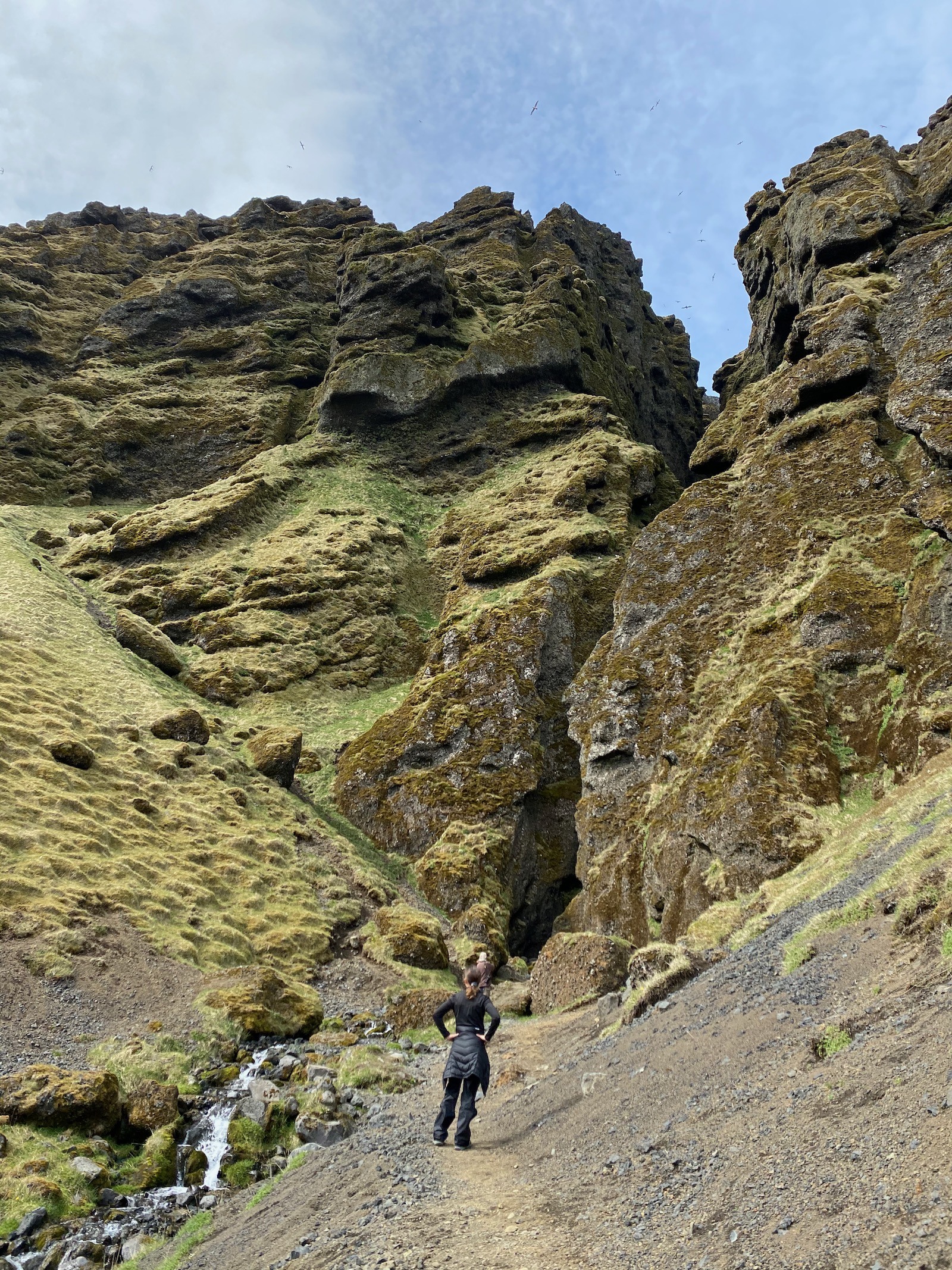 Teen girl in front of canyon on Snæfellsnes Peninsula. 