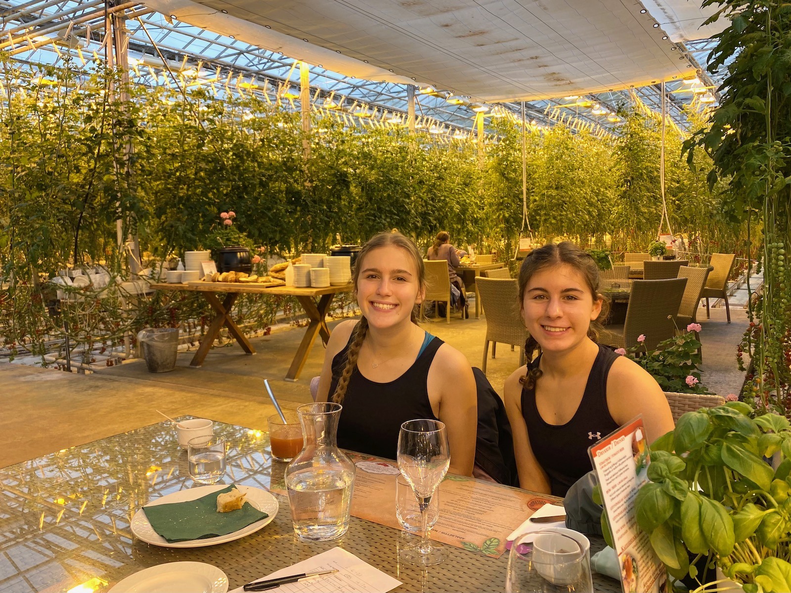 Sisters sitting at table at the Friðheimar Greenhouse Restaurant. 