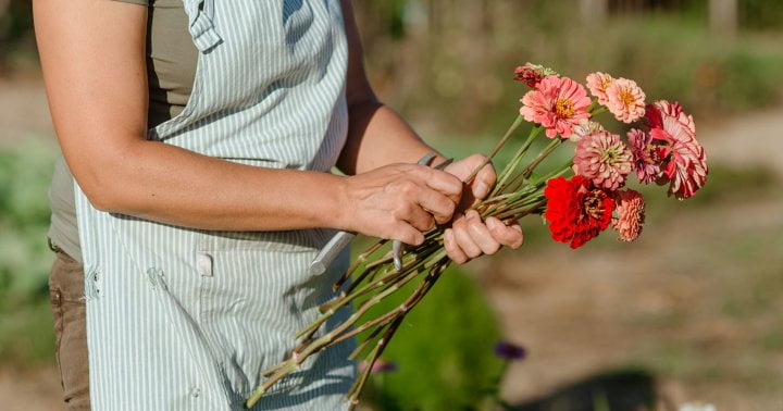 How To Start A Colorful Flower Cutting Garden—With Or Without A Backyard