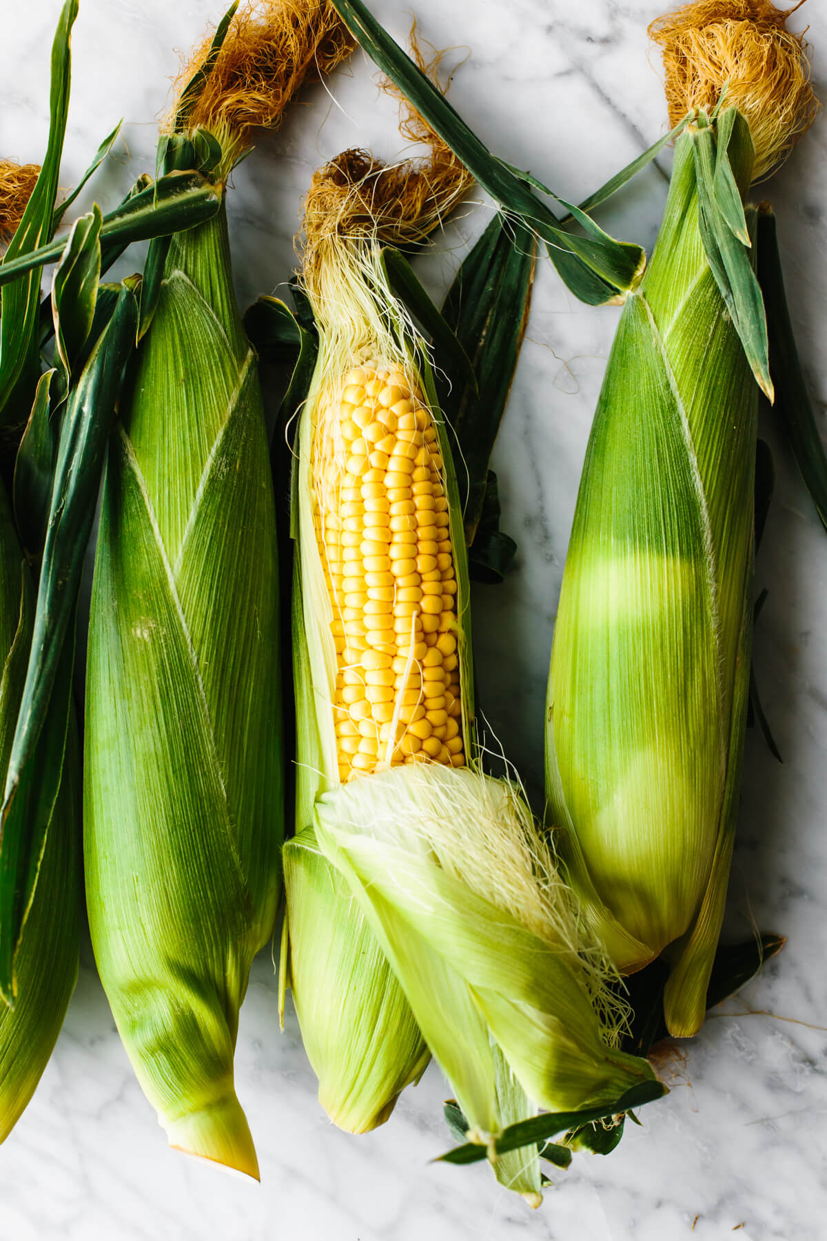Fresh ears of corn for grilled corn on the cob