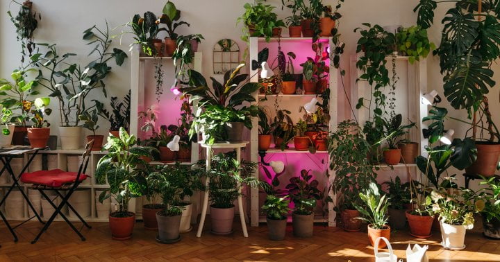 With This IKEA Hack, You Can Build An At-Home Green Wall In Minutes