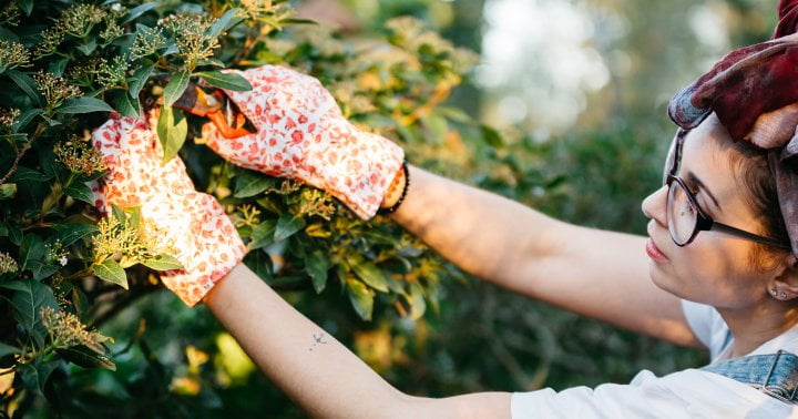 Prune Like A Pro In The Best Gardening Gloves Of Summer 2021