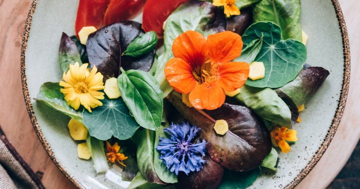 7 Edible Flowers That Belong In Your Garden (And On Your Plate)