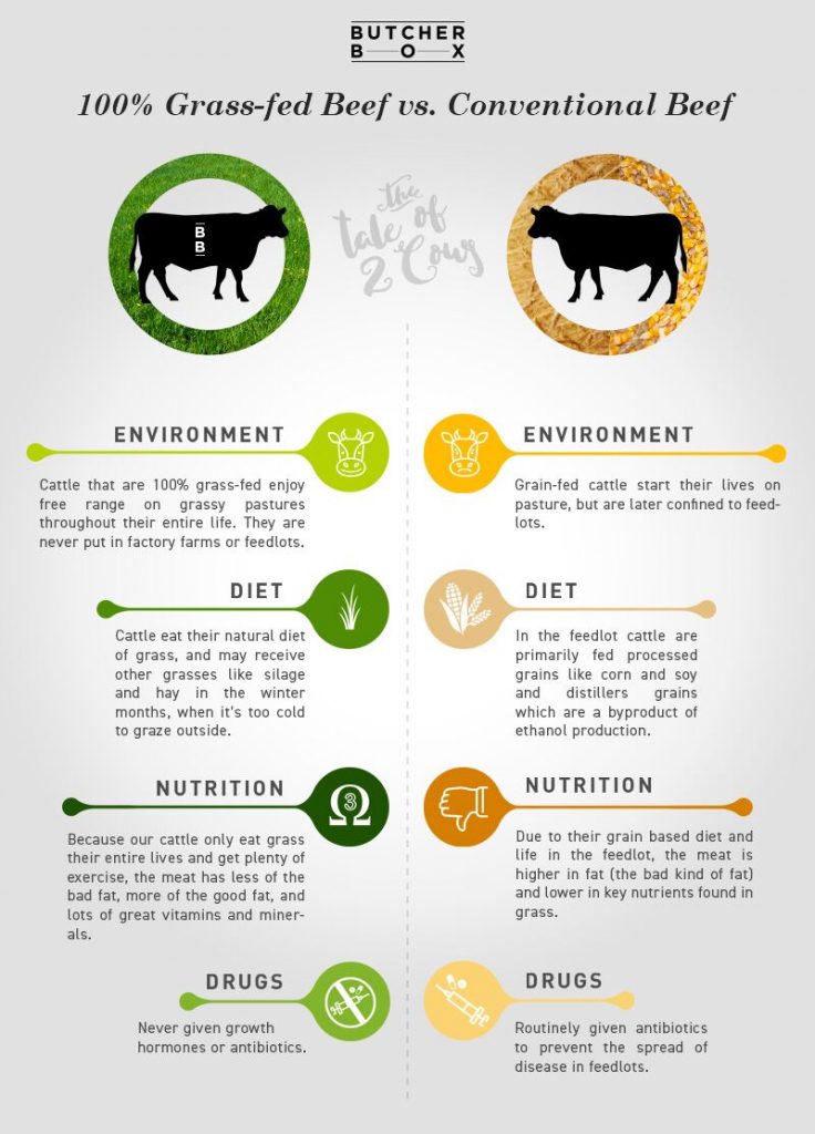 Grass fed meat - is it better?