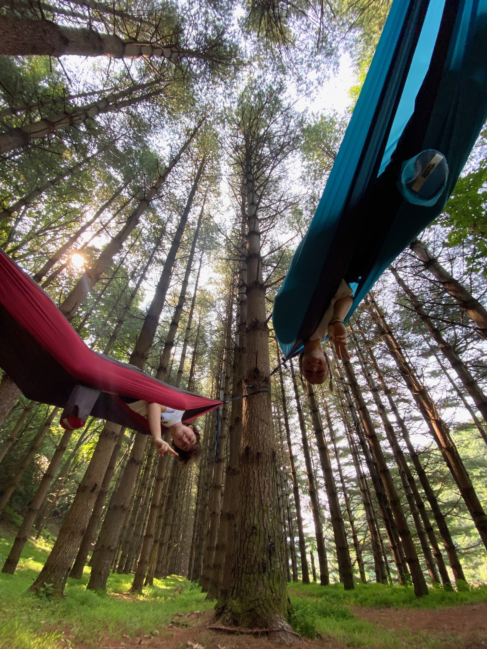 Two teenagers hanging out in hammocks tied to trees in the wilderness in North Carolina. 