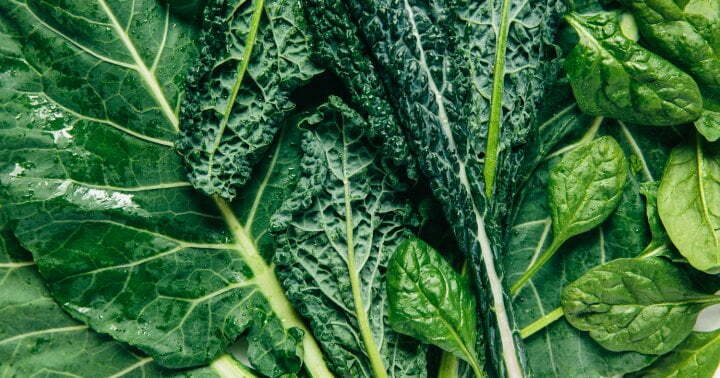 Bored With Kale? Try These Nutrient Powerhouse Leafy Greens Instead