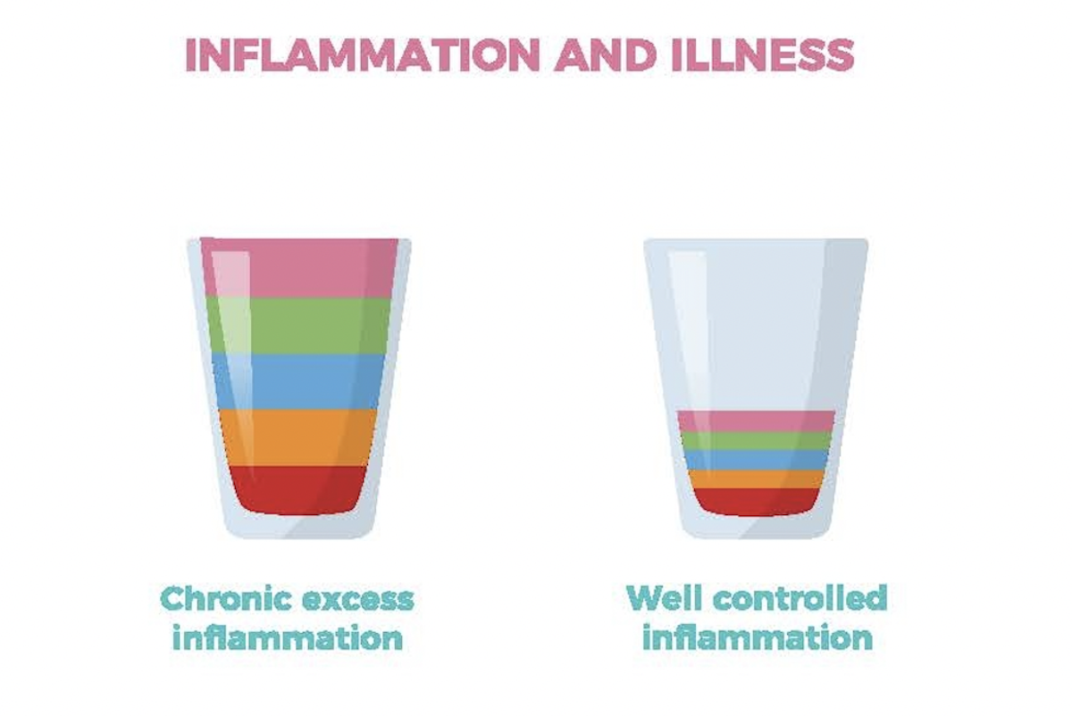 Inflammation and Illness diagram. 