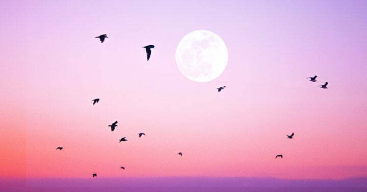 How To Approach October's Full Moon, Depending On Your Zodiac Sign