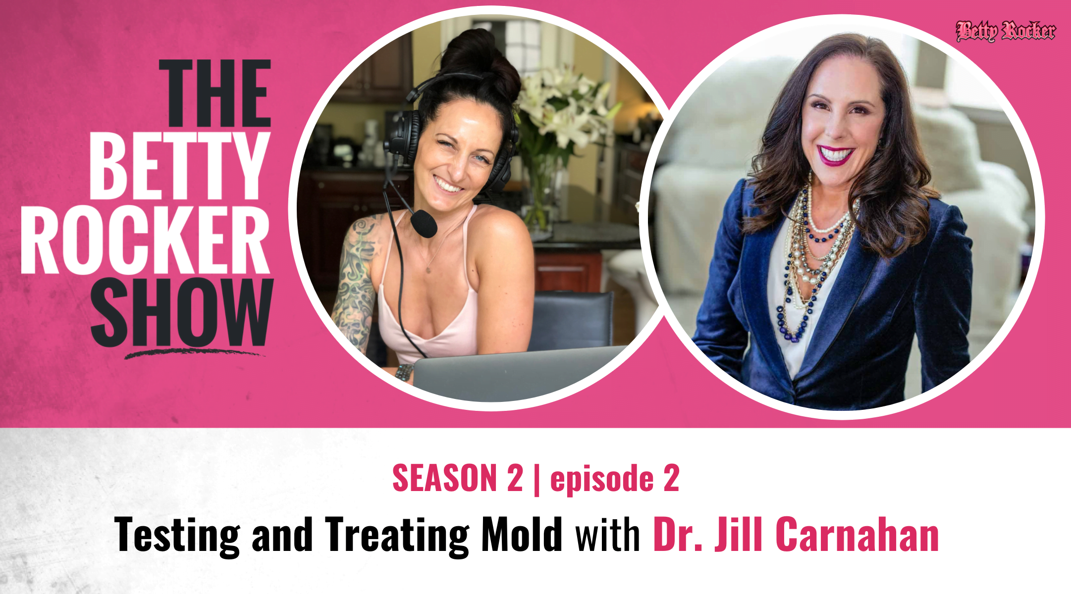 S2 – 2: Testing and Treating Mold with Dr. Jill Carnahan